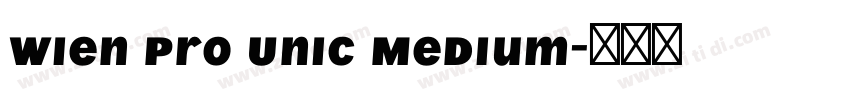 Wien Pro Unic Medium字体转换